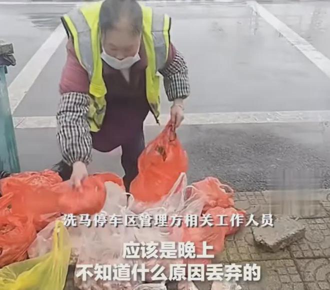 高速服务区发现大量被扔的年货！有排骨、腊肉、炸好的小酥肉…“全是好的”！网友集体(图4)
