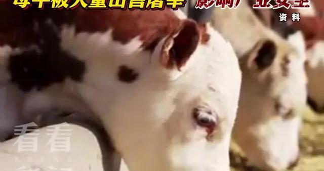 牛肉价格跌破‘2’字头！中方调查剑指何方巴西急忙喊话求解释(图3)