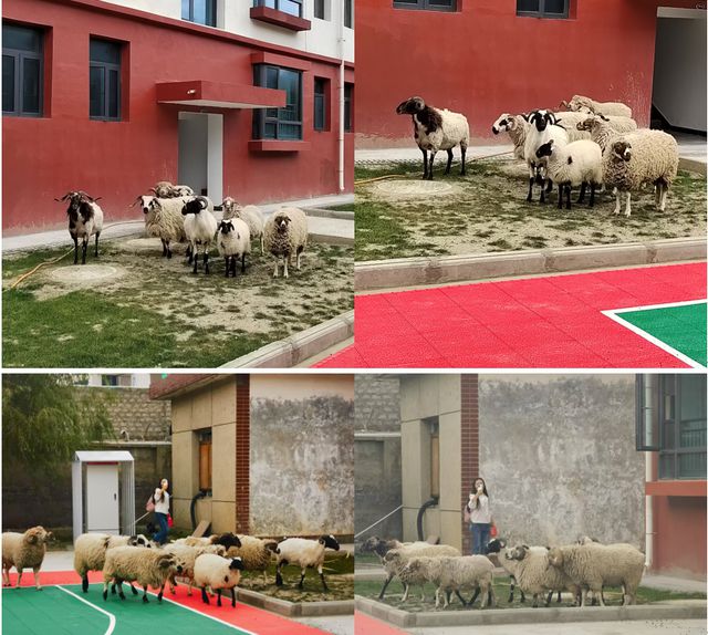 走进老部队41医院的新驻地既似曾相识又感觉很陌生…(图3)