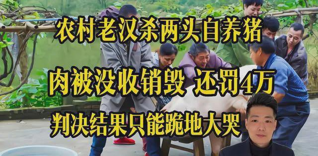 盐城一农民卖羊肉获利180元被处罚10万元一审法院认可处罚！